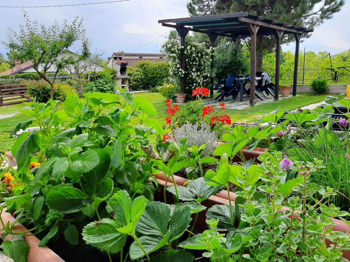 Cascina Teresina Monferrato Piscina Villa Cortazzone Ngoại thất bức ảnh