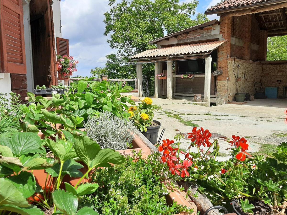 Cascina Teresina Monferrato Piscina Villa Cortazzone Ngoại thất bức ảnh
